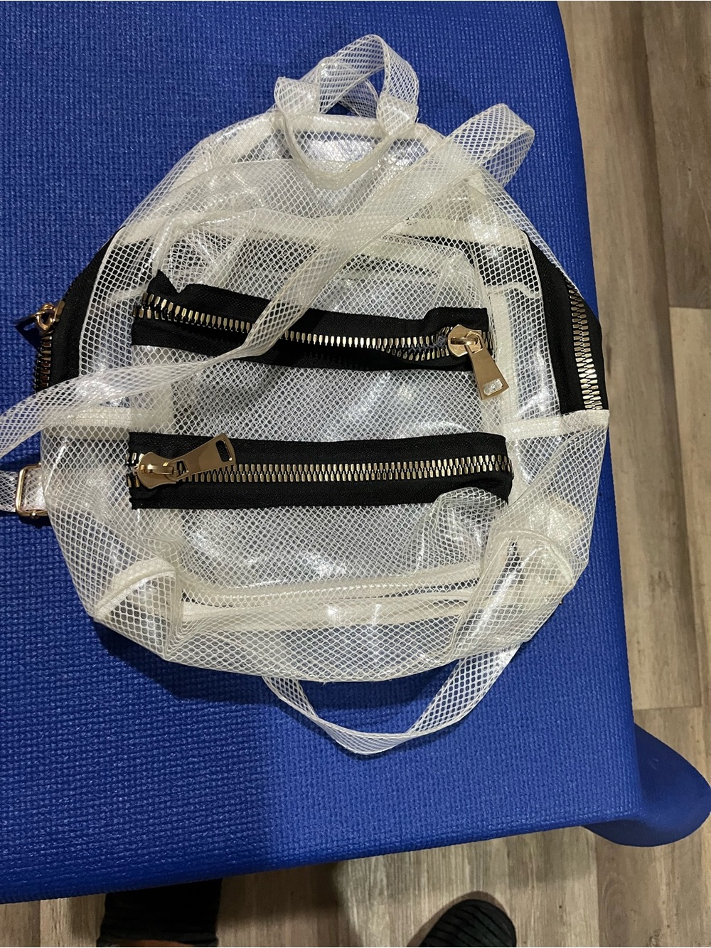Clear Mesh Backpack with Black Zippers